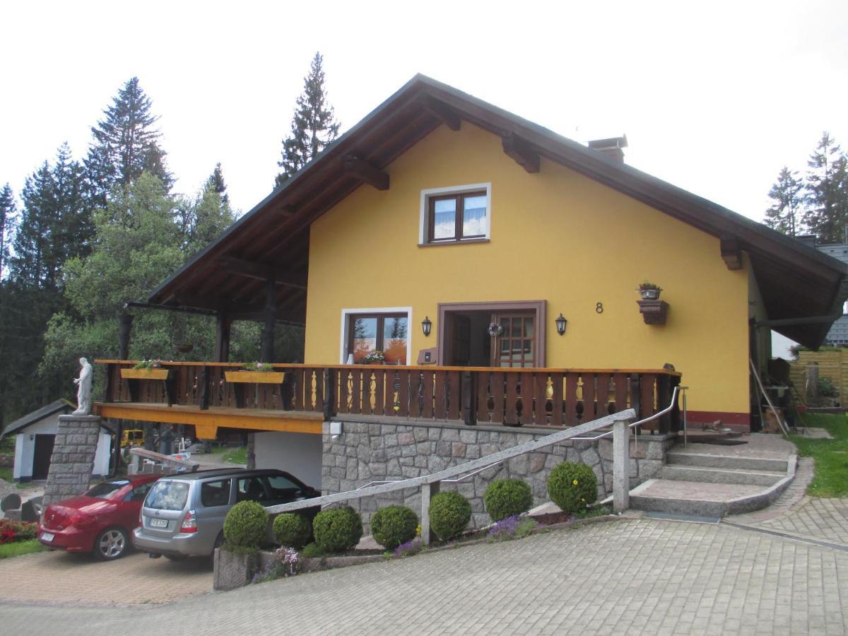 Haus Steininger Appartement Schluchsee Buitenkant foto