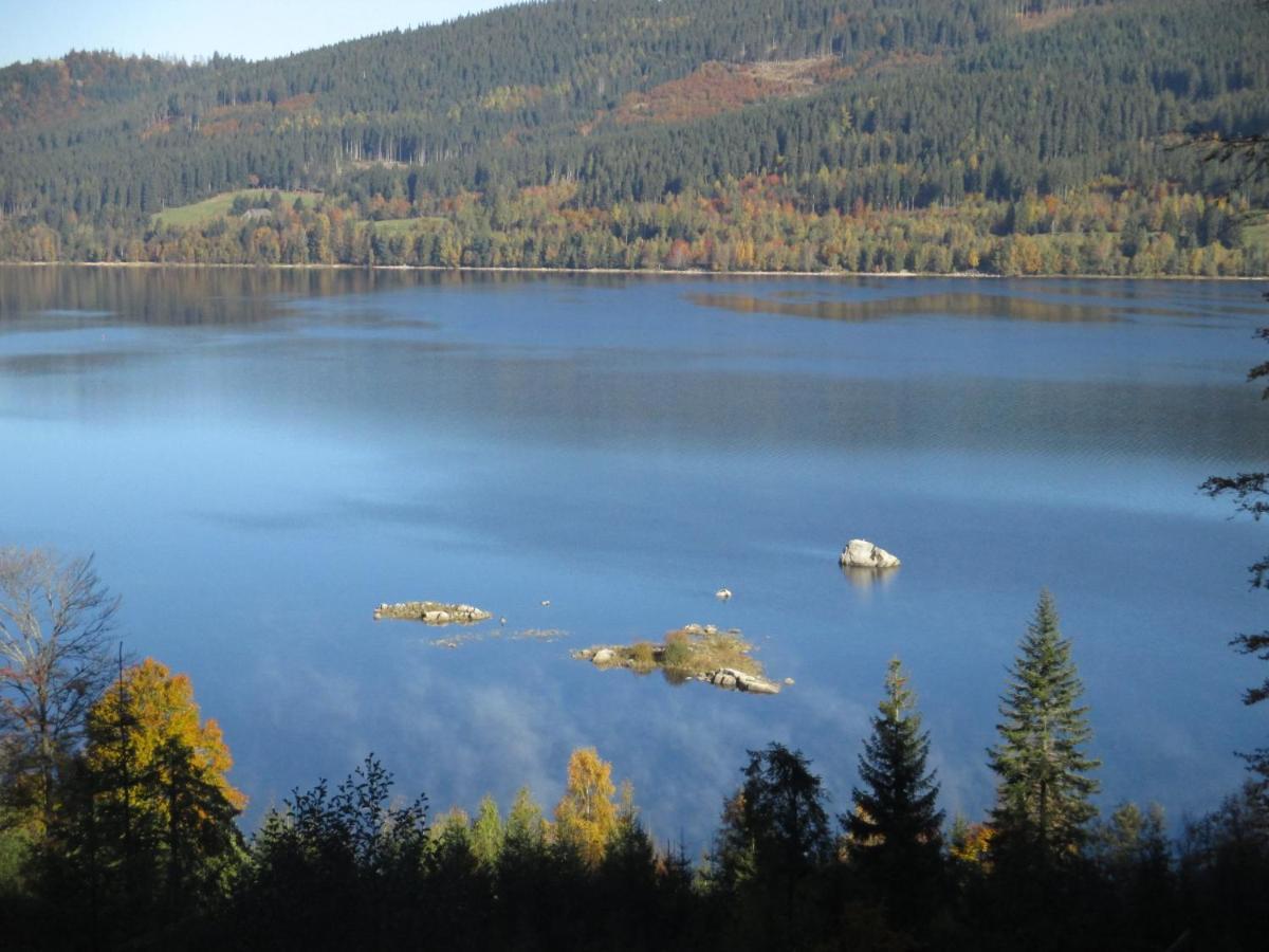 Haus Steininger Appartement Schluchsee Buitenkant foto