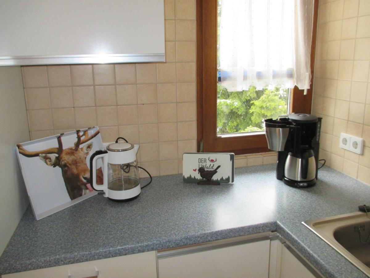 Haus Steininger Appartement Schluchsee Buitenkant foto